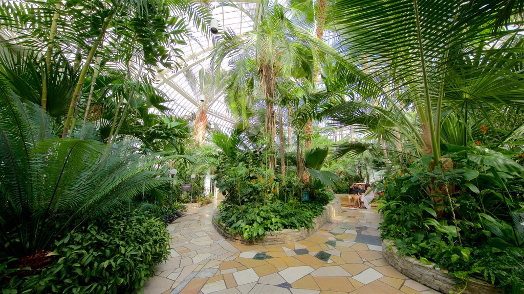 Como Park Zoo and Conservatory showing a garden