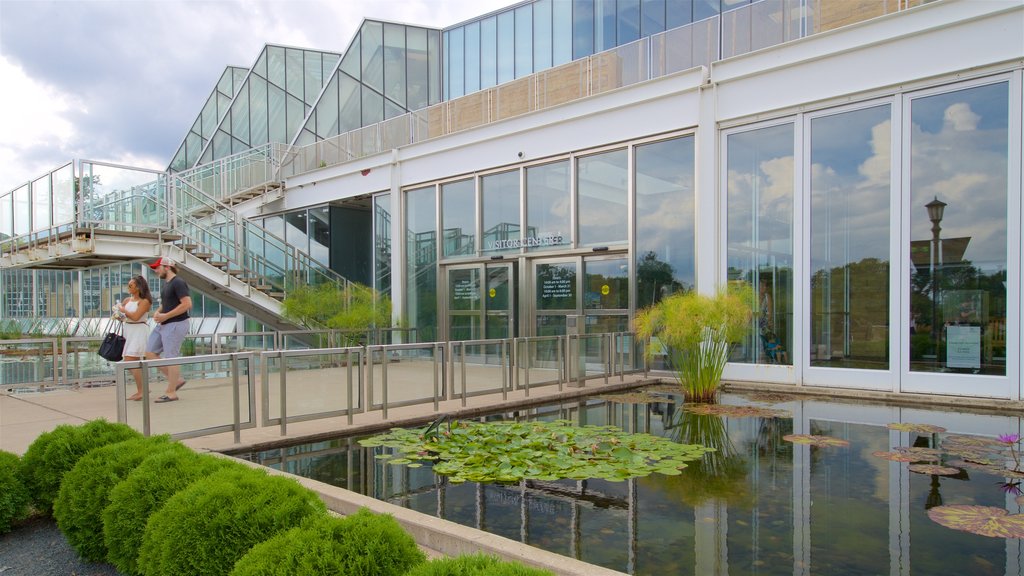 Como Park Zoo and Conservatory mostrando um lago assim como um casal