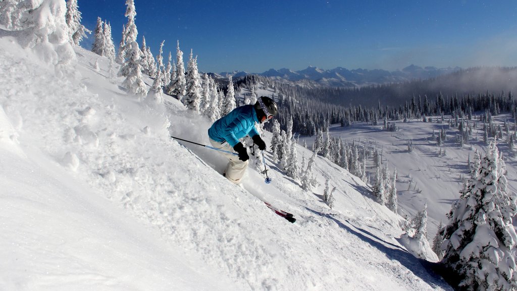 Whitefish Mountain Ski Resort toont skiën en sneeuw