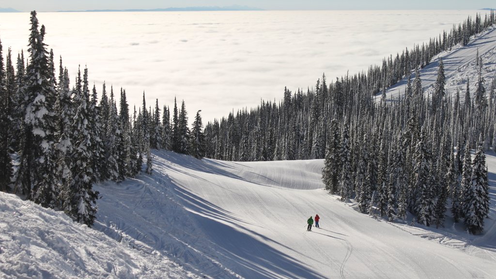 Stazione sciistica di Whitefish Mountain che include neve e vista del paesaggio cosi come coppia