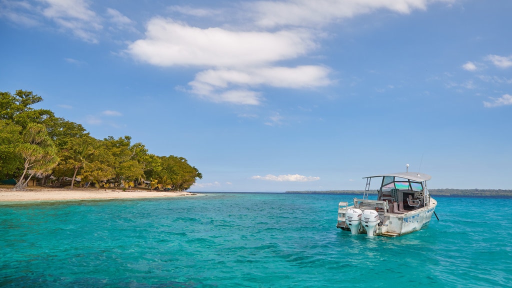 Bokissa Island showing general coastal views and tropical scenes