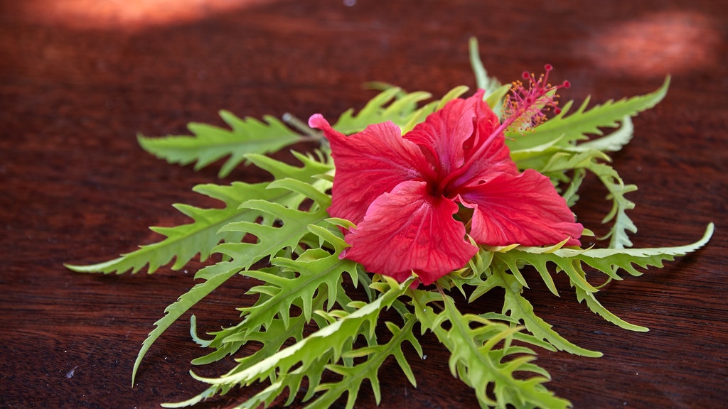 Bokissa Island toont bloemen