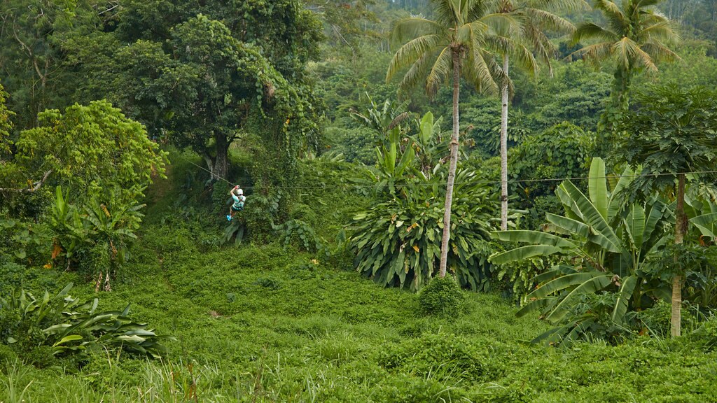 Vanuatu