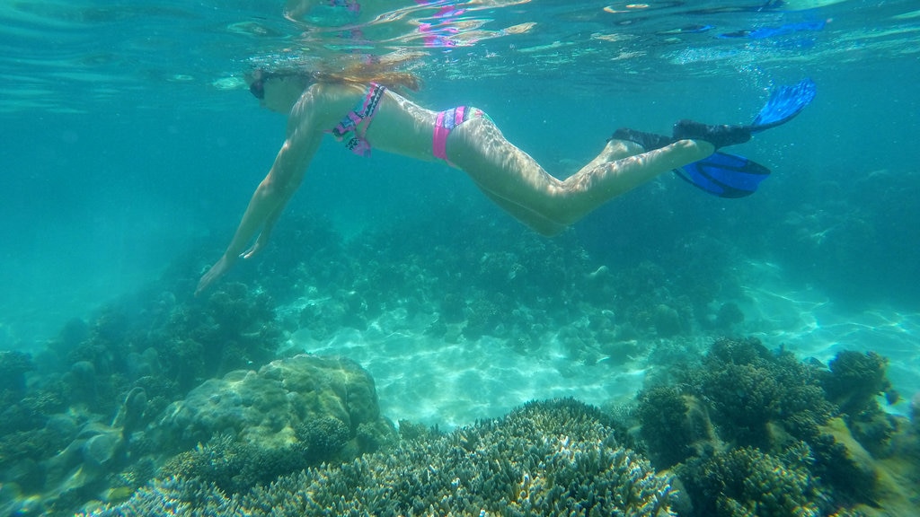 Vanuatu mostrando recifes coloridos e snorkel assim como uma mulher sozinha