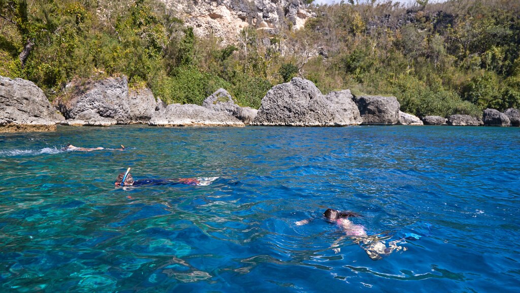 Lelepa Island featuring snorkeling and general coastal views as well as a small group of people