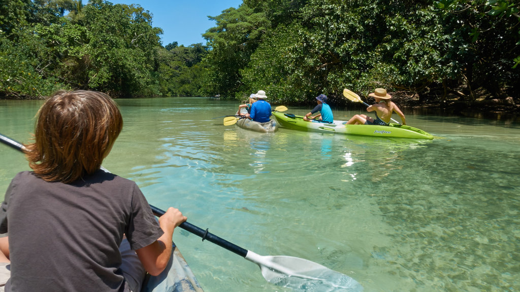 Espiritu Santo caracterizando caiaque ou canoagem e um rio ou córrego assim como um pequeno grupo de pessoas