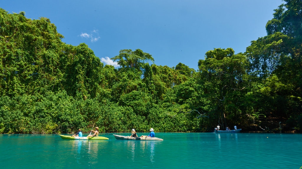 Espiritu Santo qui includes kayak ou canoë et rivière ou ruisseau aussi bien que petit groupe de personnes