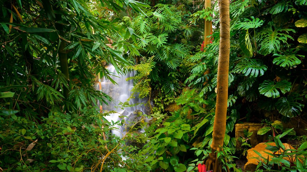 Grugaparks botaniska trädgård