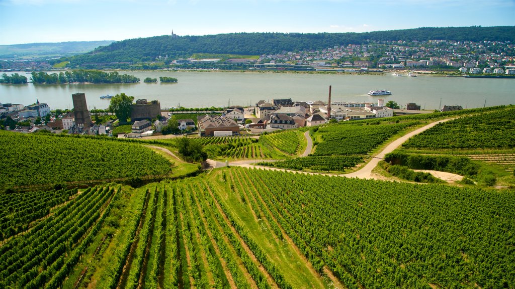 Rüedesheim am Rhein