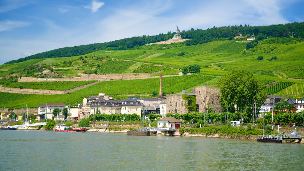 Rüedesheim am Rhein