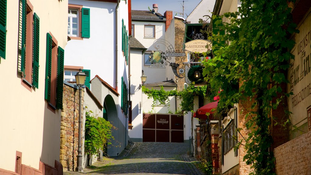 Ruedesheim am Rhein