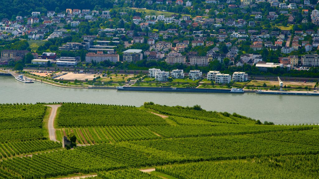 Ruedesheim am Rhein