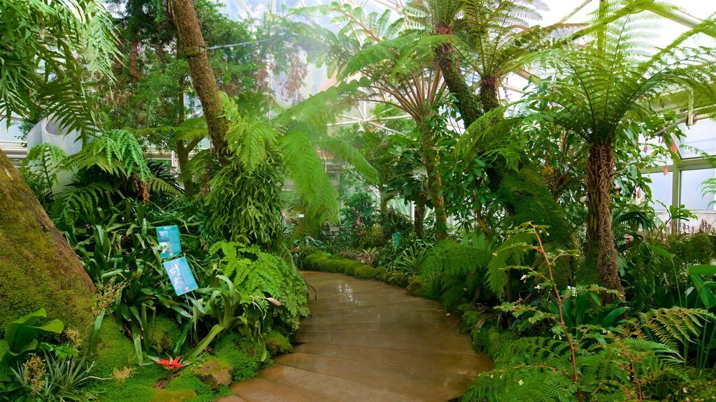 Jardin botanique de Grugapark