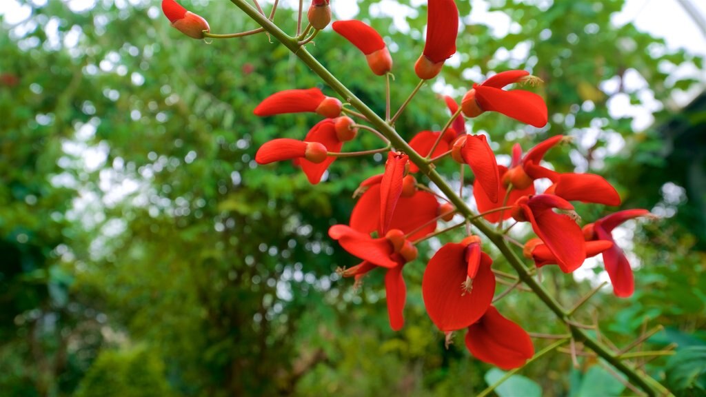 Jardin botanique de Grugapark