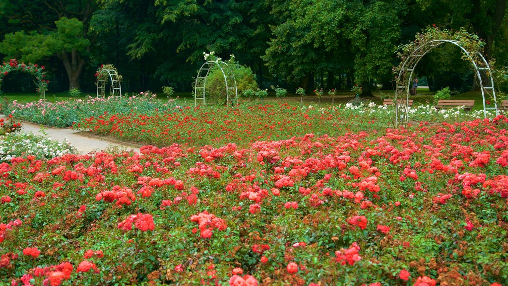 Jardim botânico Grugapark