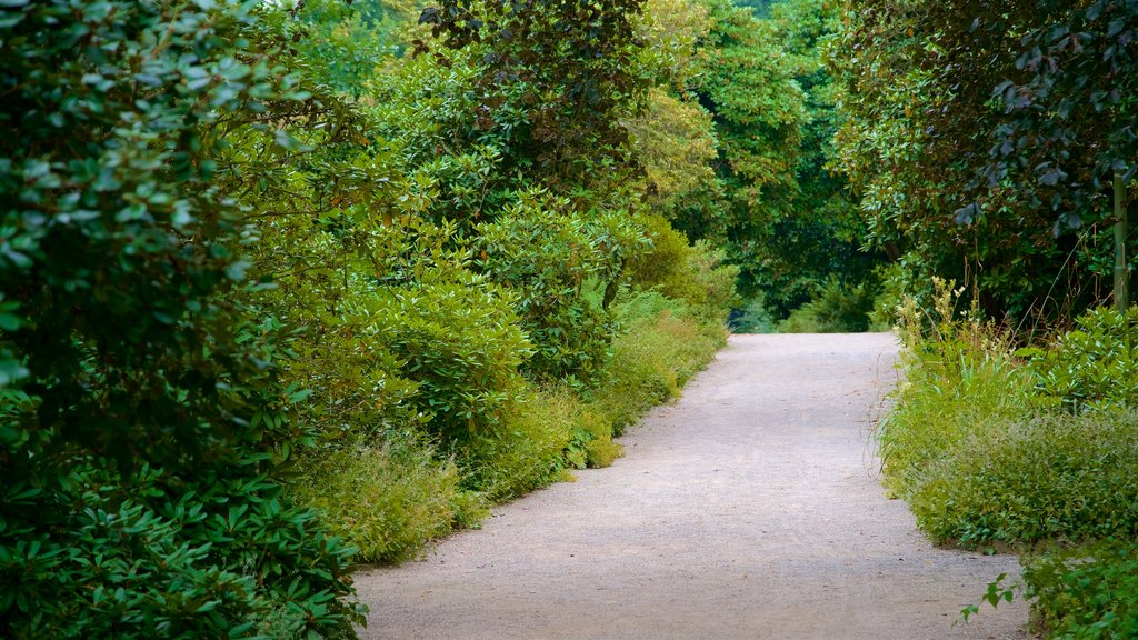 Grugapark Botanical Garden