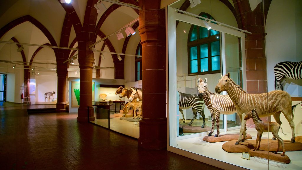 Museo di storia naturale