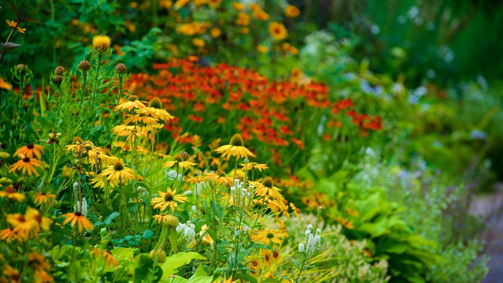 Jardín botánico Rombergpark