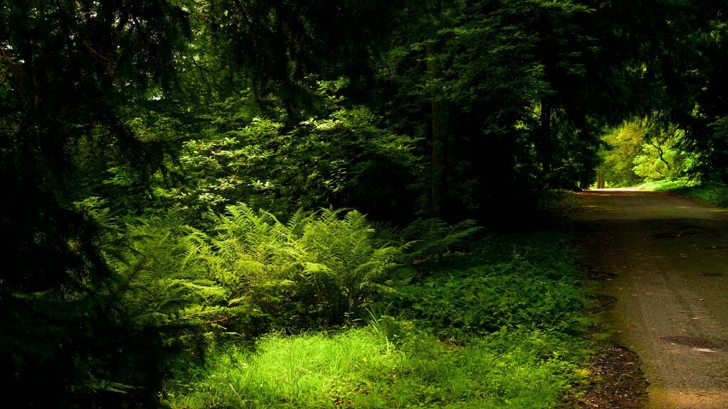 Jardin botanique Rombergpark