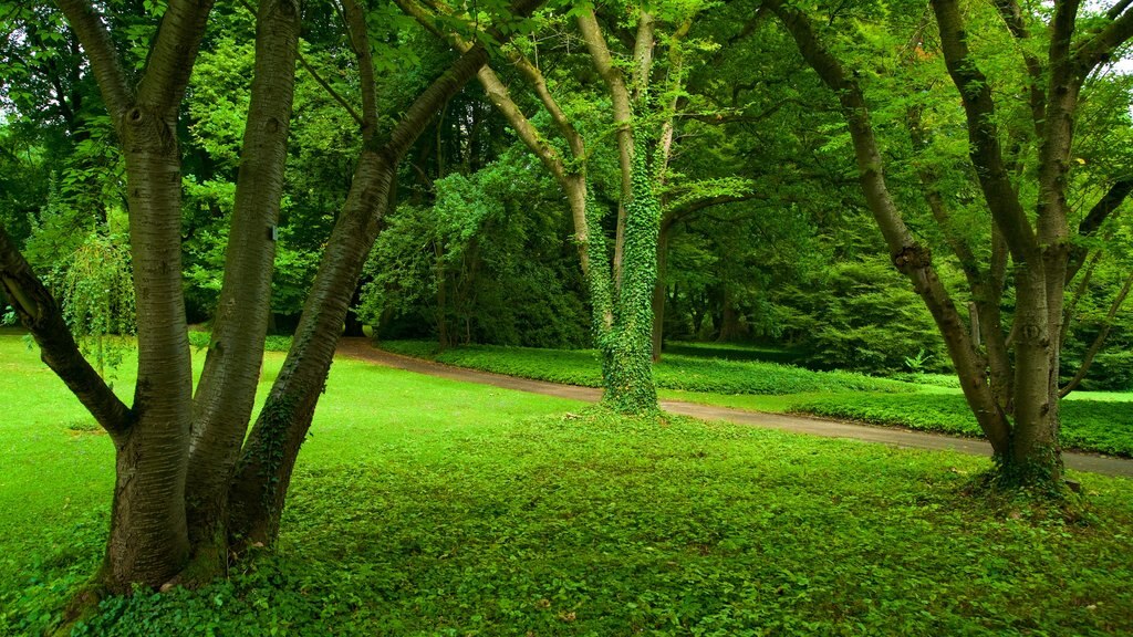 Jardin botanique Rombergpark