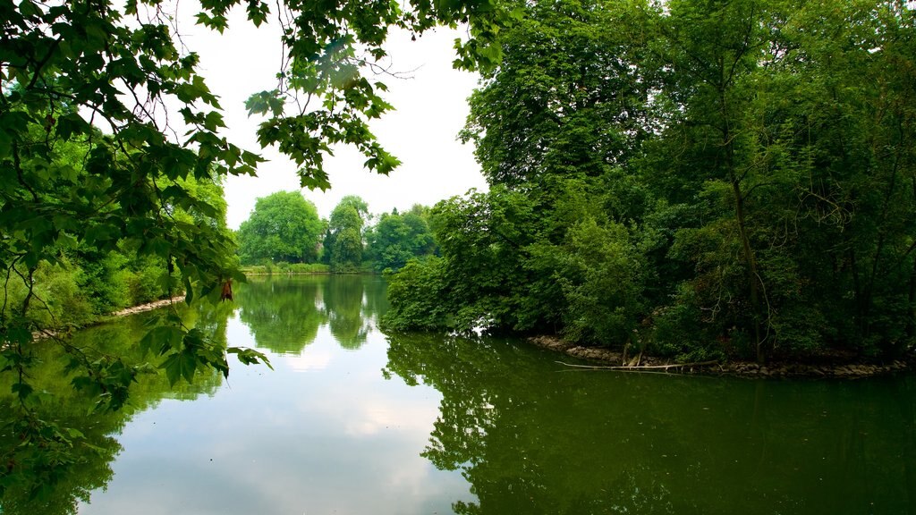 隆貝格公園植物園