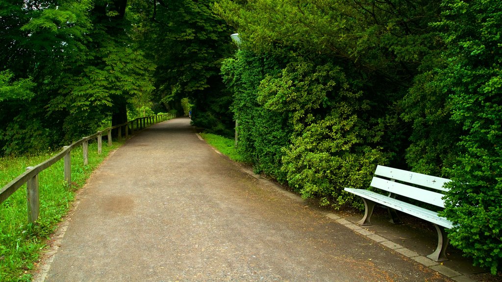 Jardín botánico Rombergpark