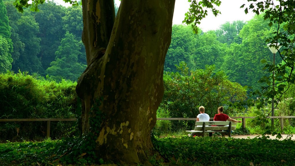 สวนพฤกษศาสตร์ Rombergpark