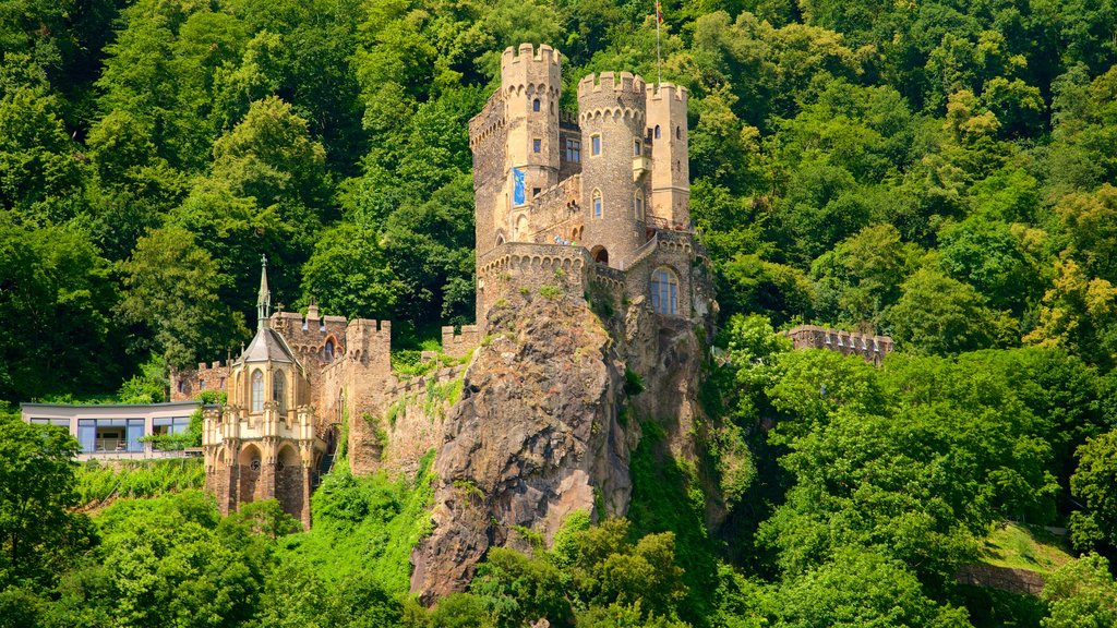 Reichenstein Castle caracterizando arquitetura de patrimônio e um pequeno castelo ou palácio