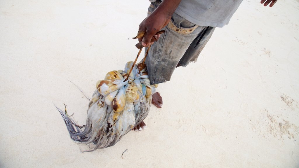 Plage de Muyuni