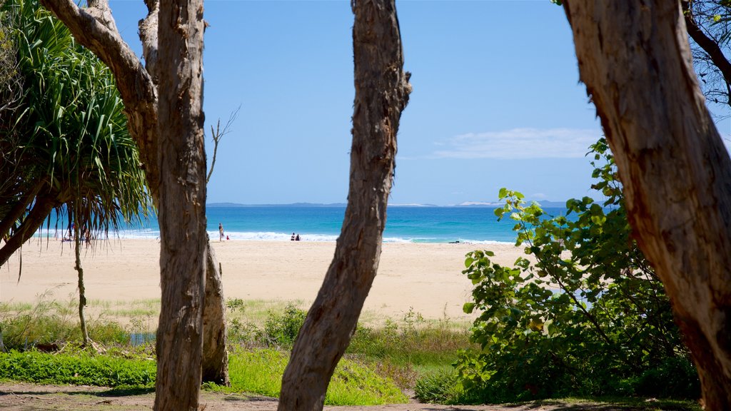 Cylinder Beach