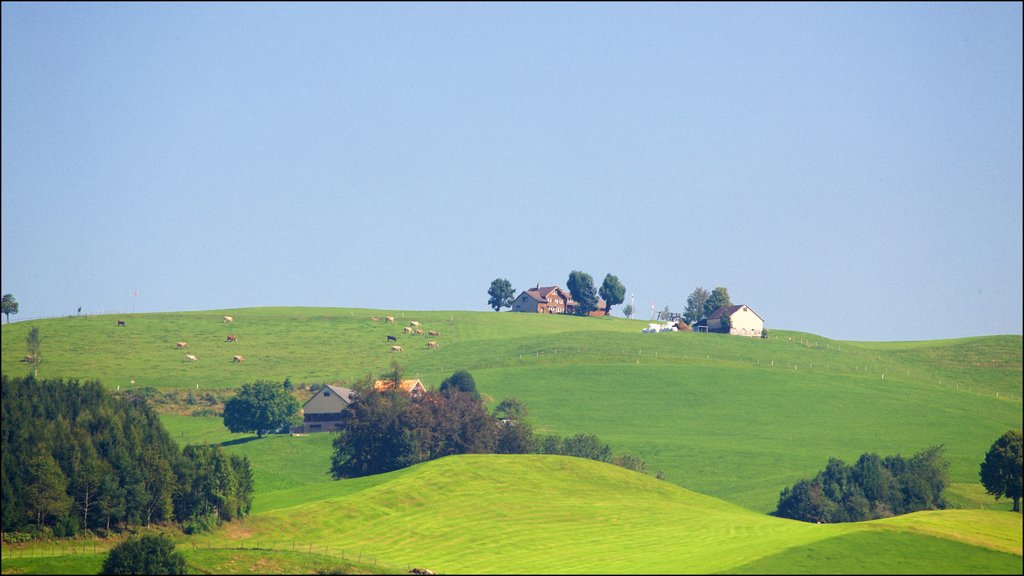 Appenzell