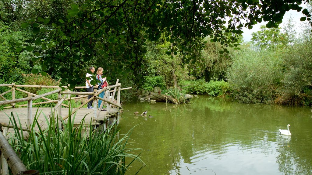 Jardin zoologique de Zurich