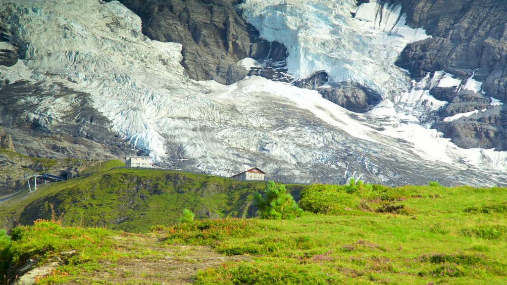 Kleine Scheidegg