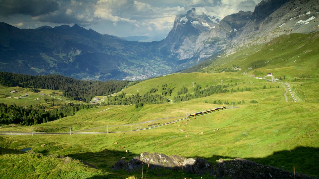 Kleine Scheidegg