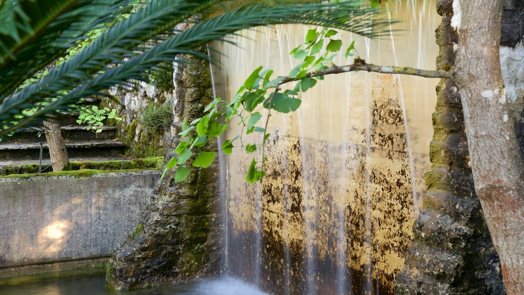 Jardín Botánico de Neuchâtel