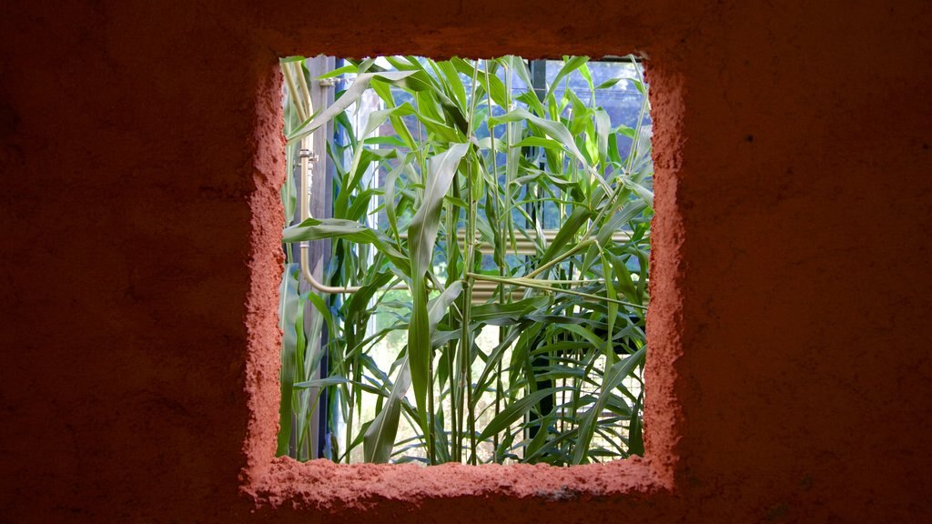 Giardino botanico di Neuchâtel