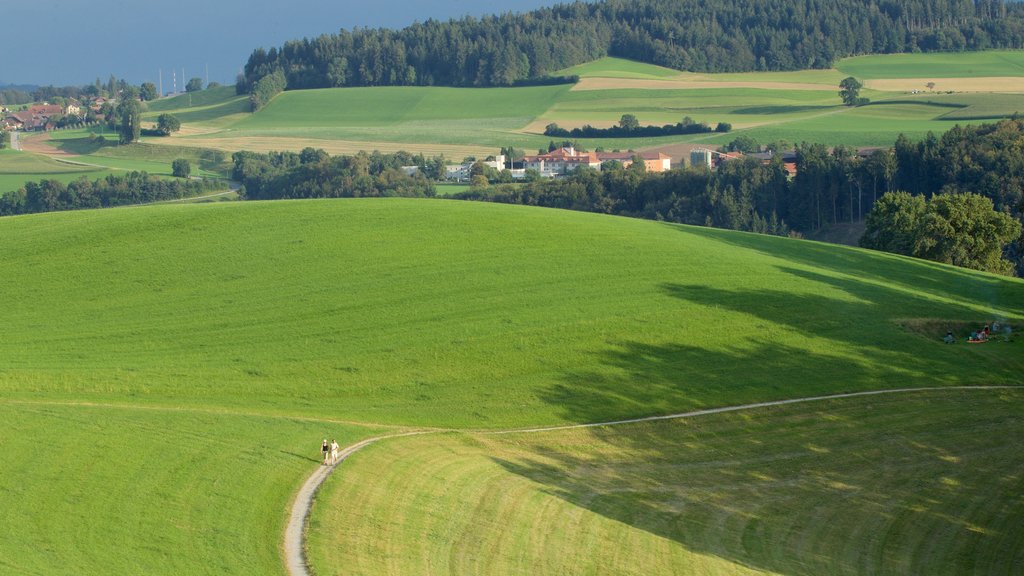 Gurten som inkluderer landskap og rolig landskap