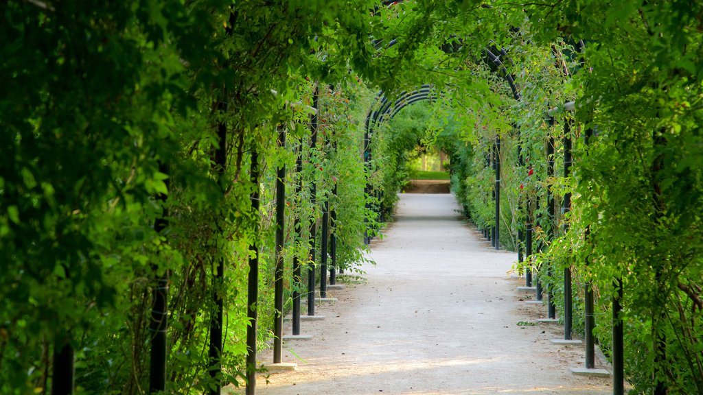 普里莫德里韋拉公園