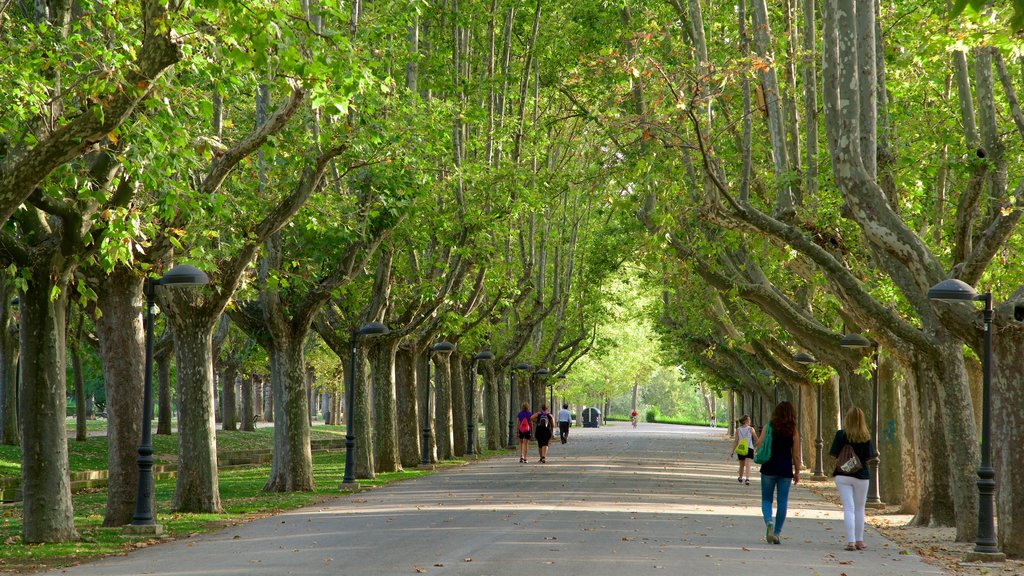 Parque Primo de Rivera