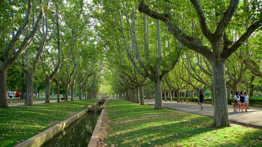 普里莫德里韋拉公園