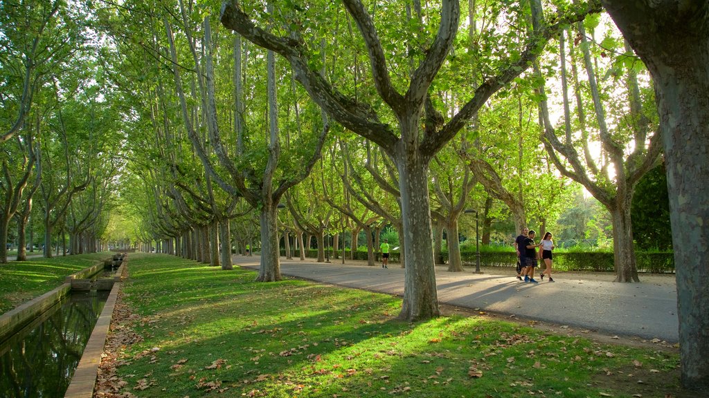 Parque Primo de Rivera