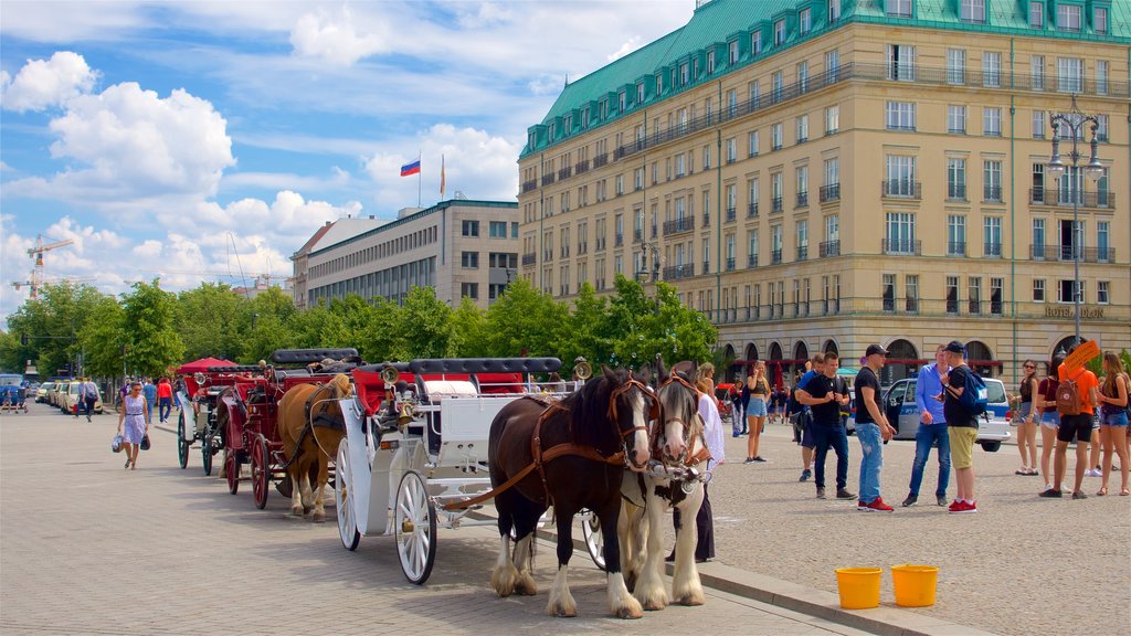 Berlin showing heritage elements and land animals