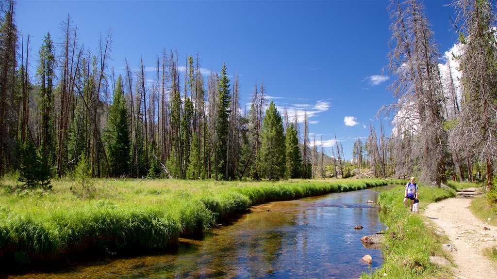 Estes Park which includes a river or creek, tranquil scenes and hiking or walking