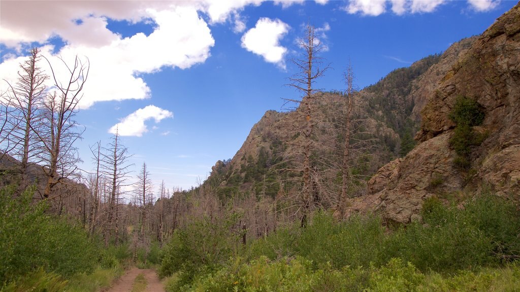 Südliches Zentral-Colorado mit einem ruhige Szenerie