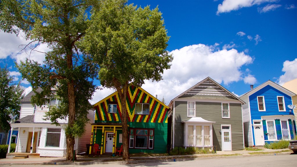 Leadville showing a house