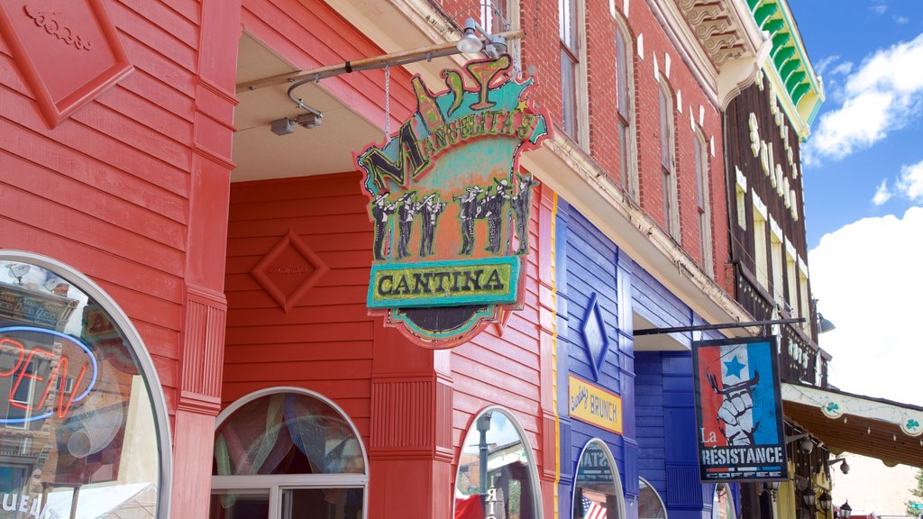 Leadville showing signage