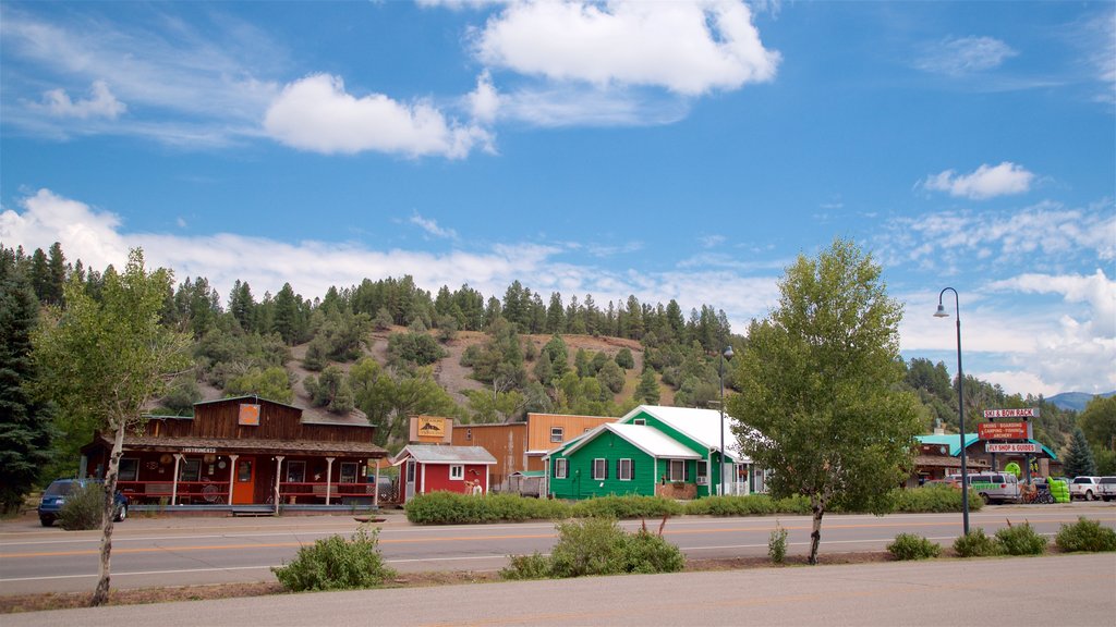 Pagosa Springs mostrando uma cidade pequena ou vila