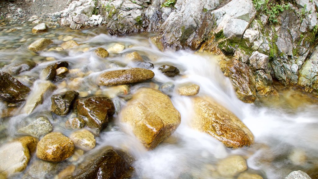 Air Terjun Zapata menunjukkan sungai