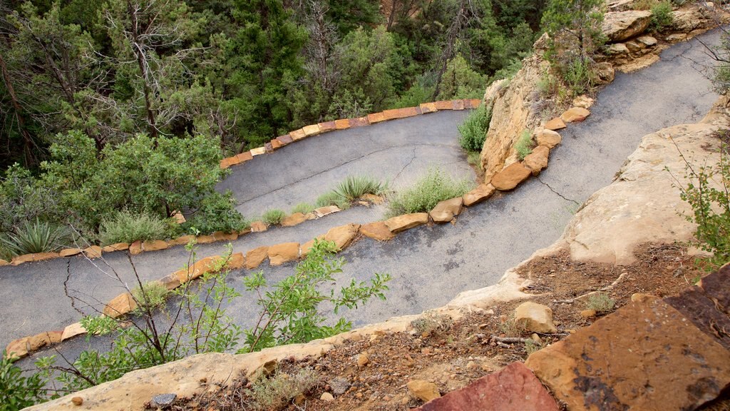 Petroglyph Point Trail featuring tranquil scenes