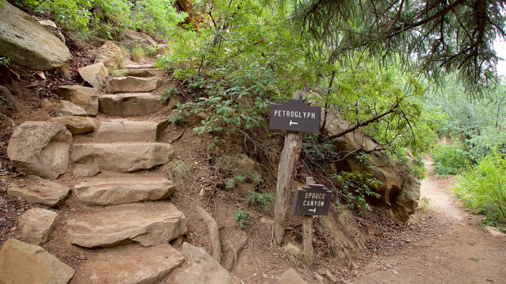 Petroglyph Point Trail showing signage and tranquil scenes